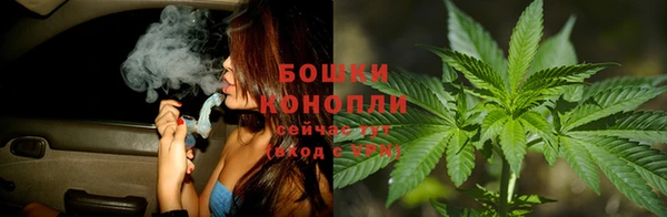 крисы Беломорск