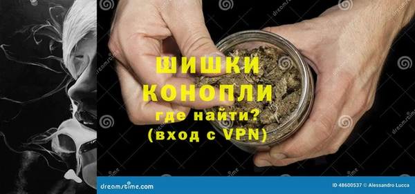 ГАЛЛЮЦИНОГЕННЫЕ ГРИБЫ Баксан